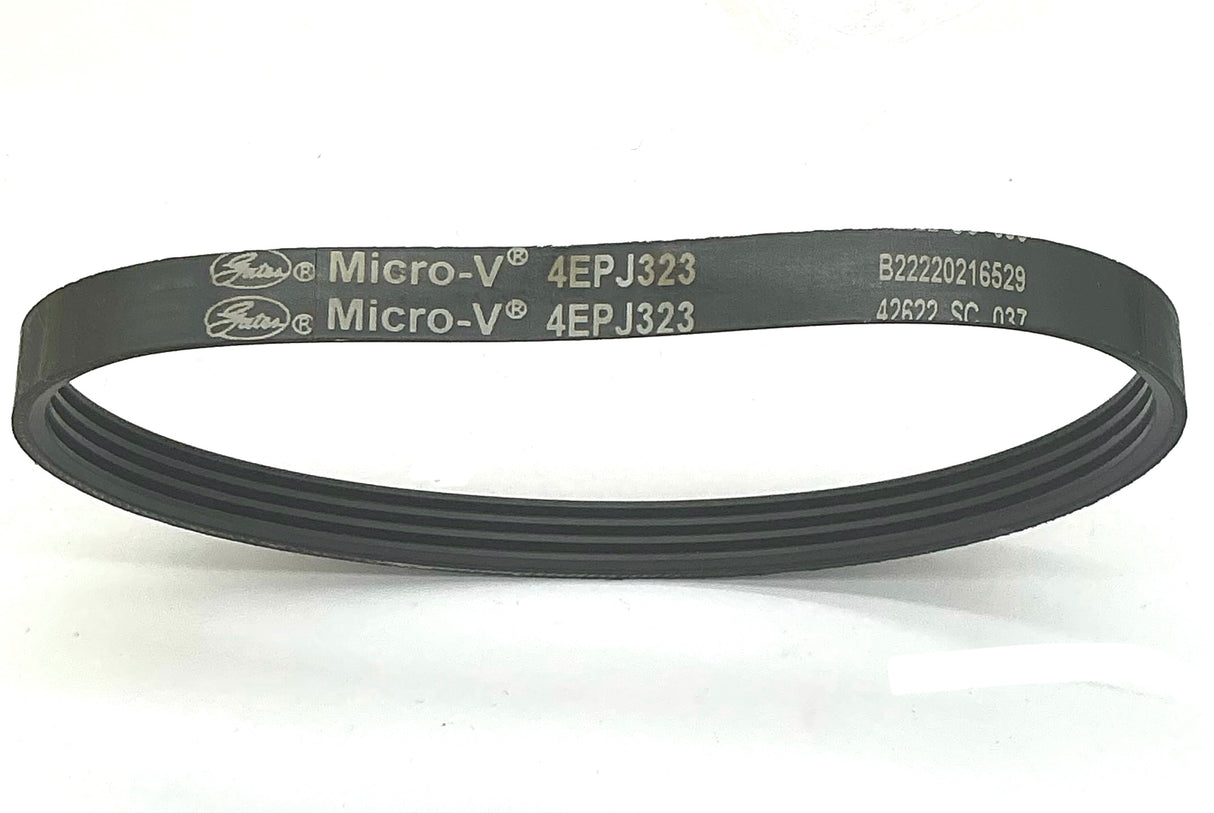 Ducati water pump belt. 1260 diavel, Xdiavel