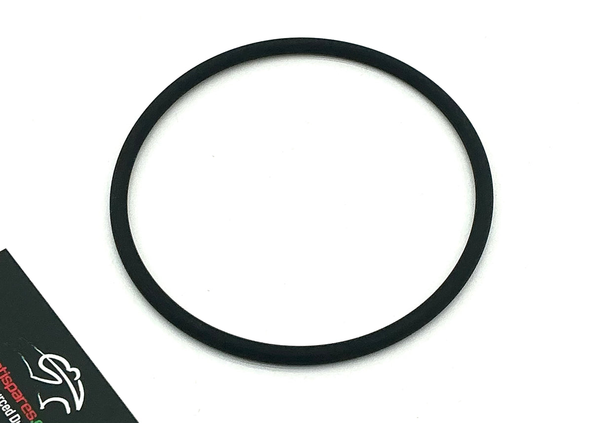 Fuel Pump Flange O ring - Monster