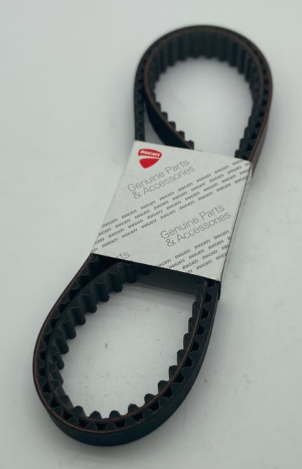 Timing belt. Cam belts Fits 695 696 795 796 + 800 scrambler. replaces 73740241