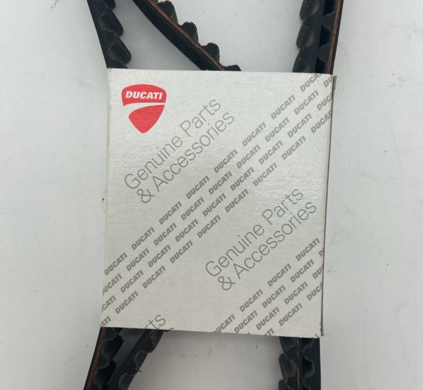 Timing belt. Cam belts Fits 695 696 795 796 + 800 scrambler. replaces 73740241