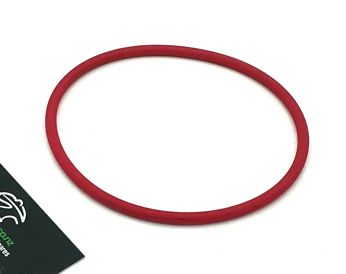 Fuel Pump Flange O ring - Monster
